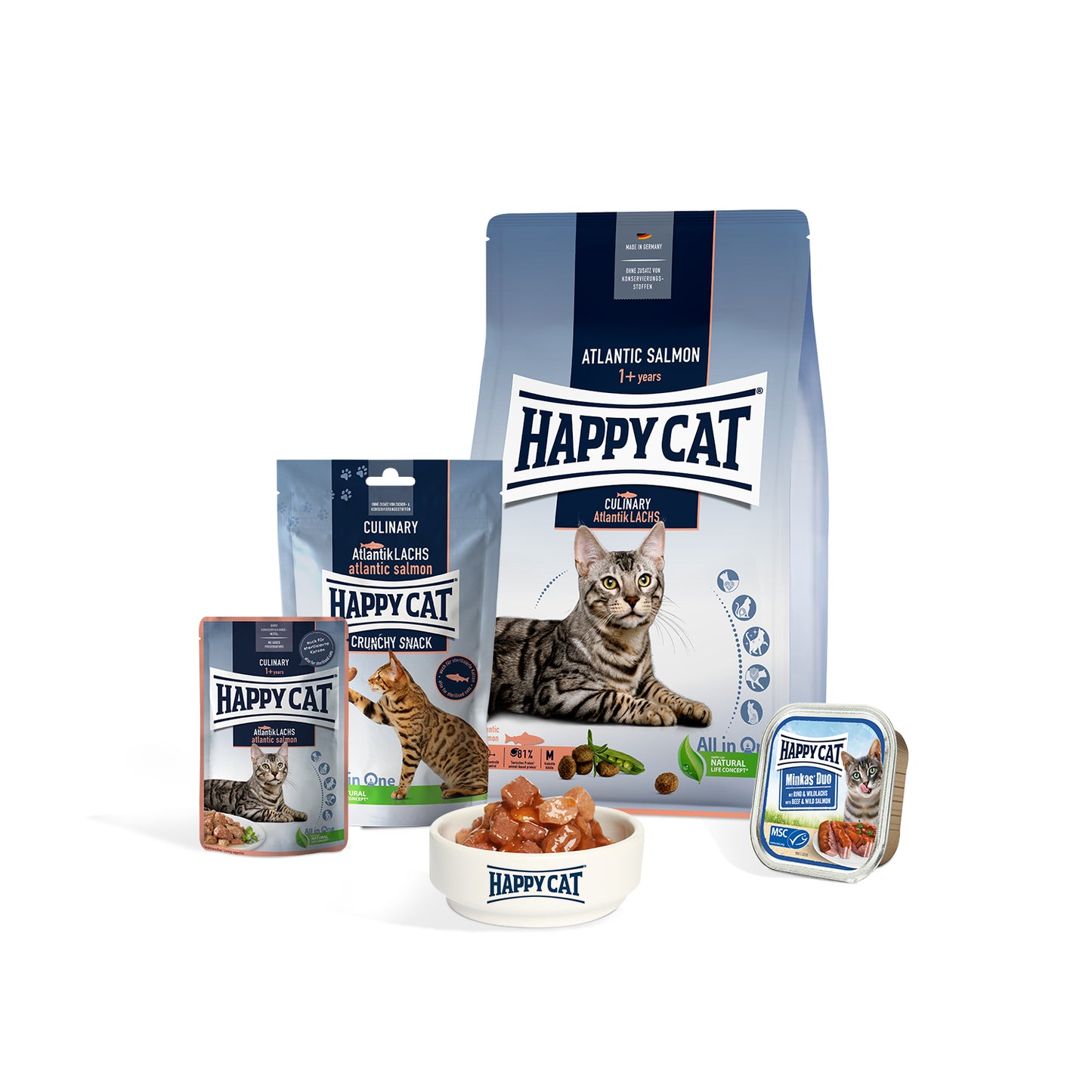 Happy Cat Happy Adult